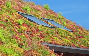 Stewley living roof systems
